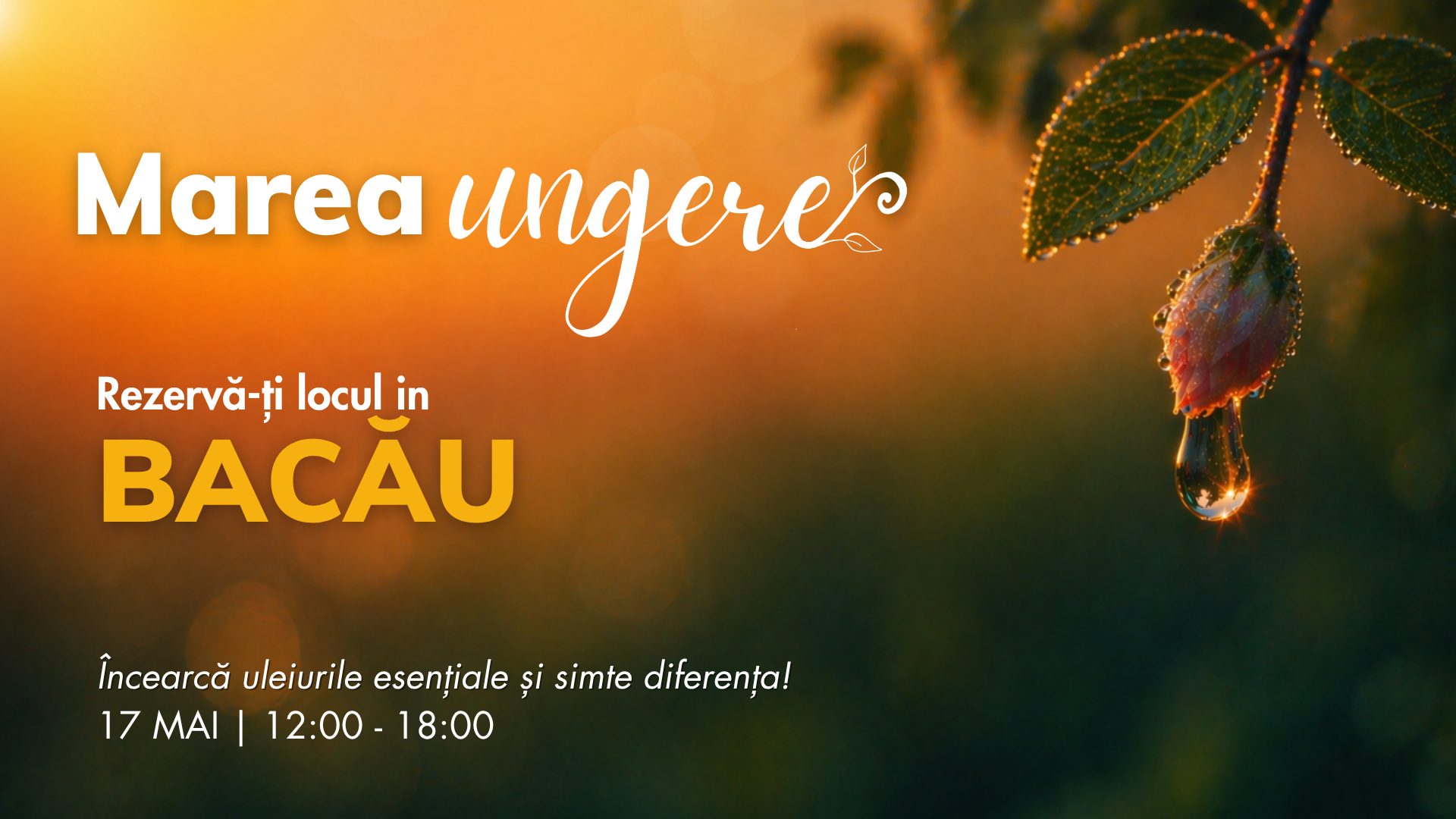 Bacău