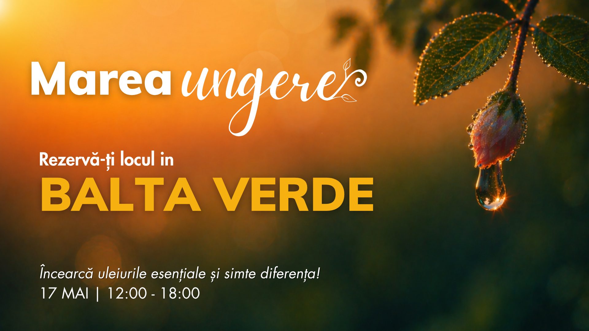 Balta Verde