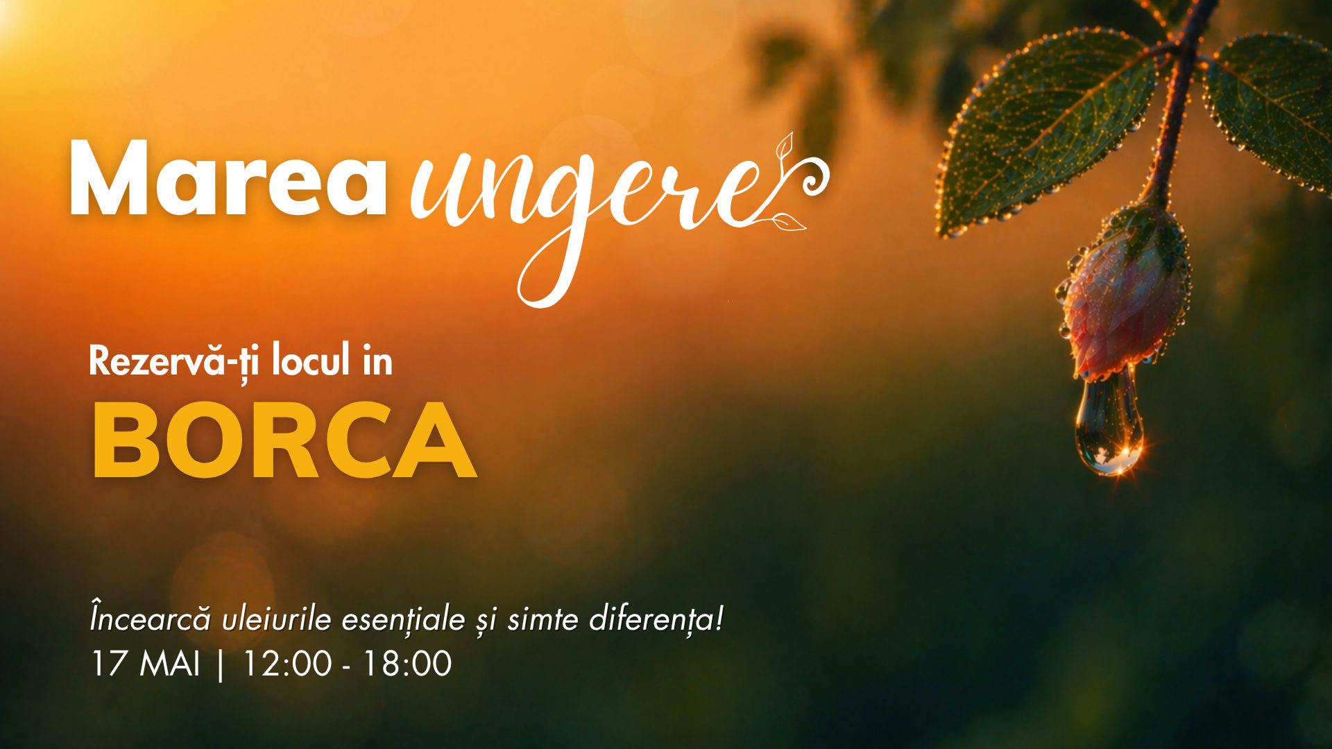 Borca