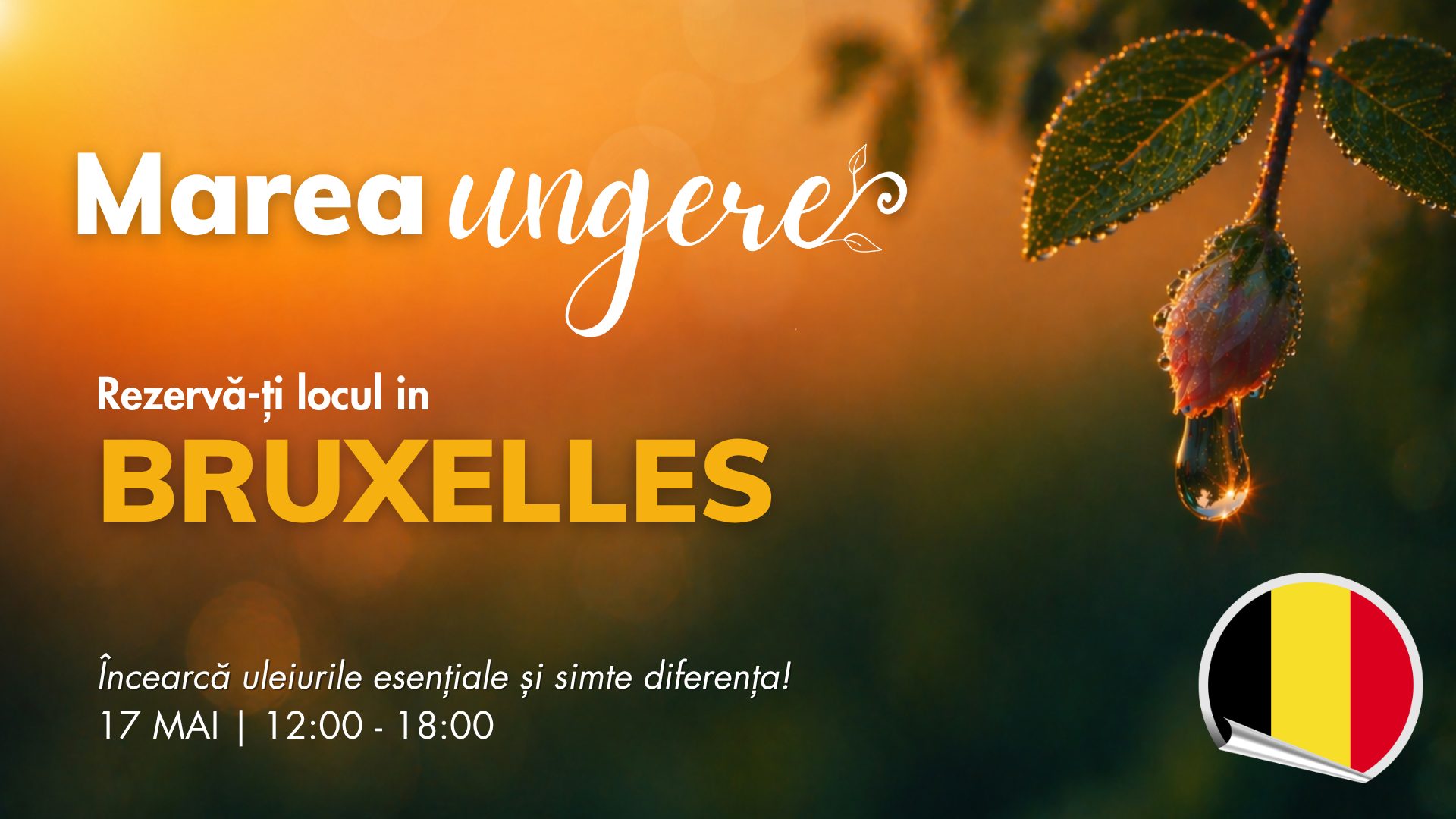 Bruxelles (Belgia)