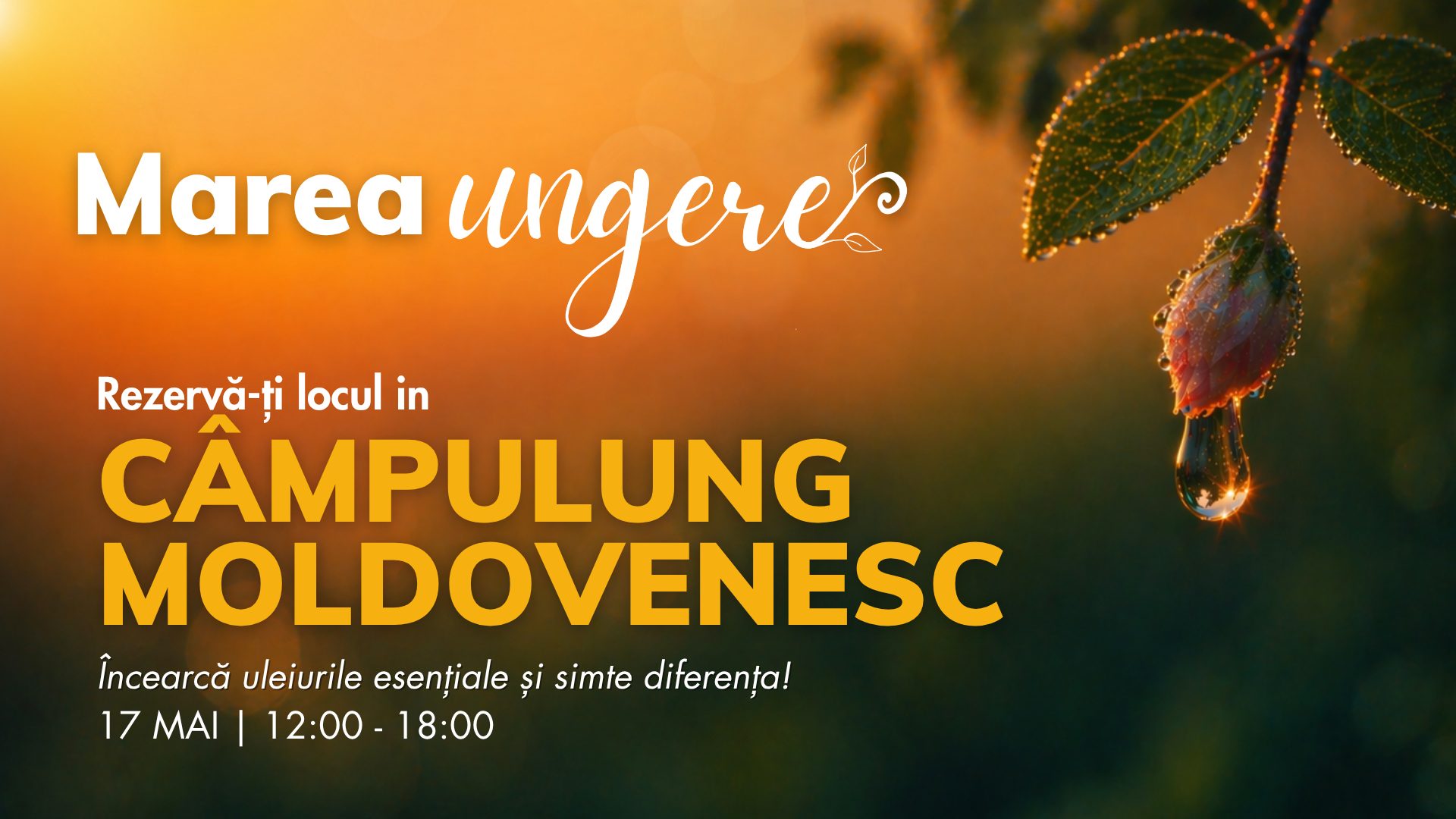 Câmpulung Moldovenesc