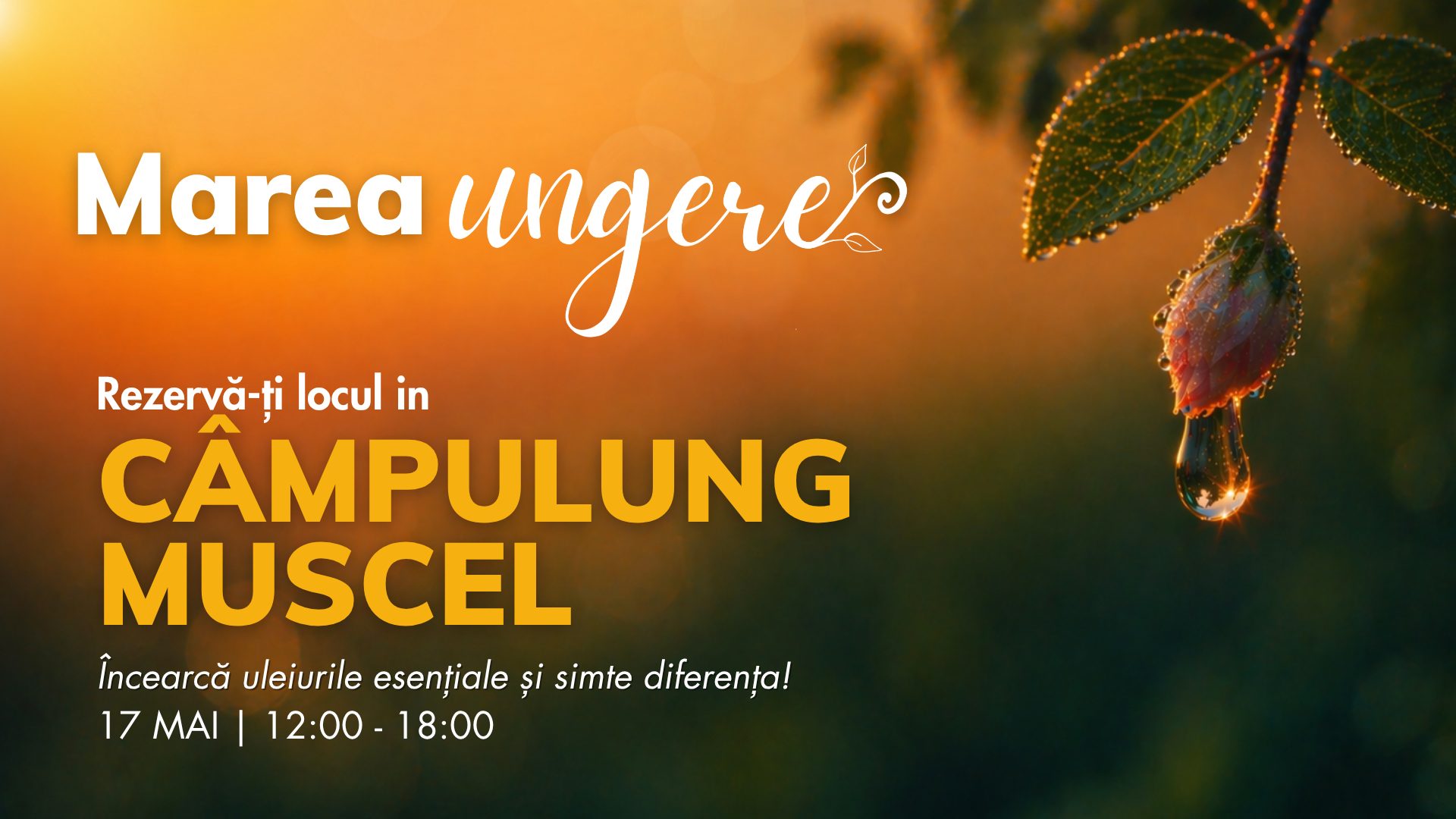 Câmpulung Muscel