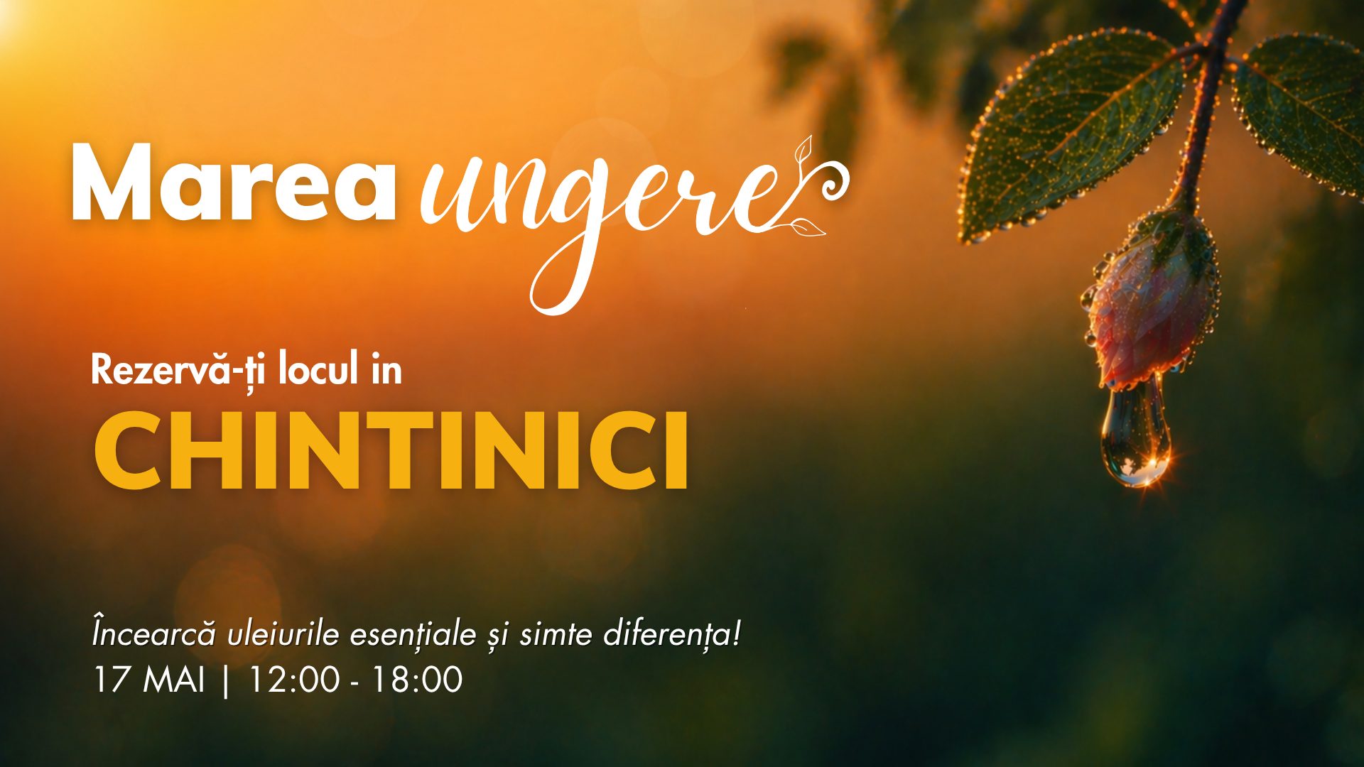 Chintinici (Piatra Neamț)