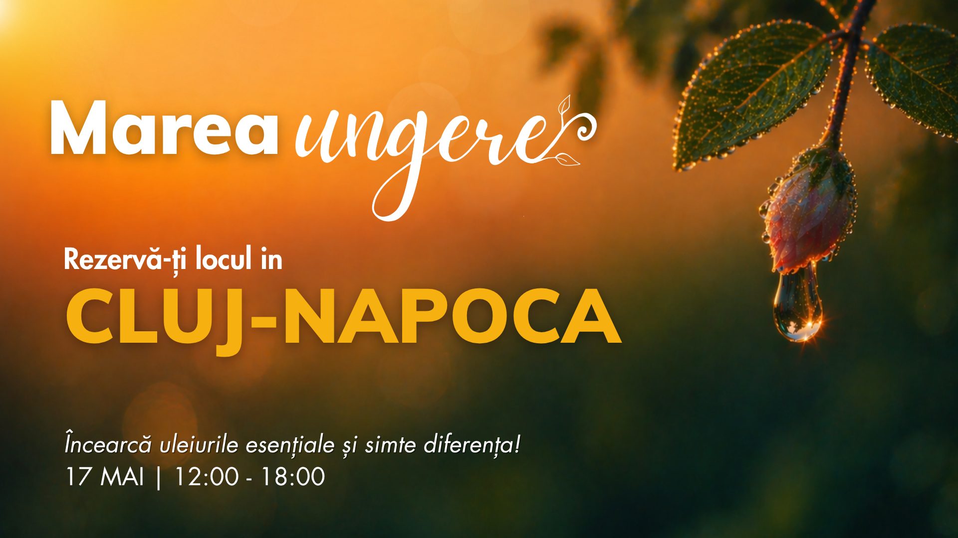 Cluj-Napoca
