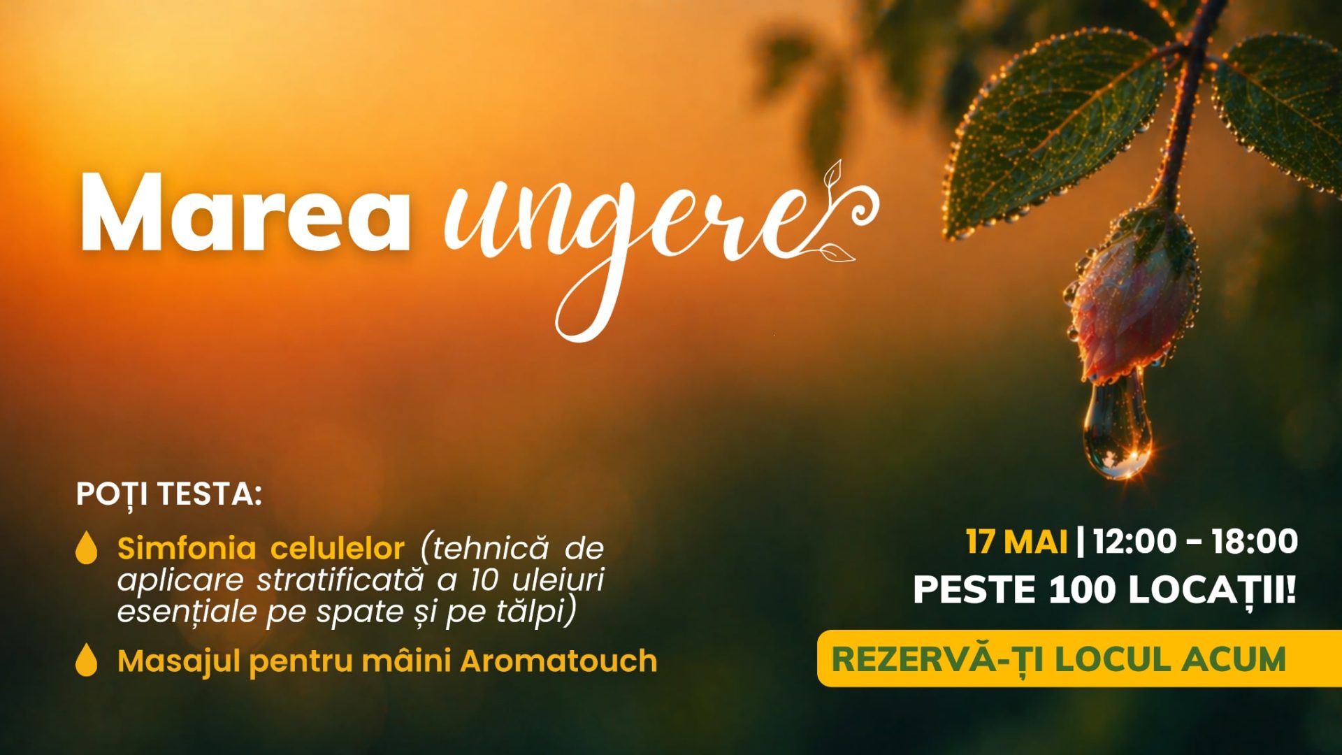 Homepage