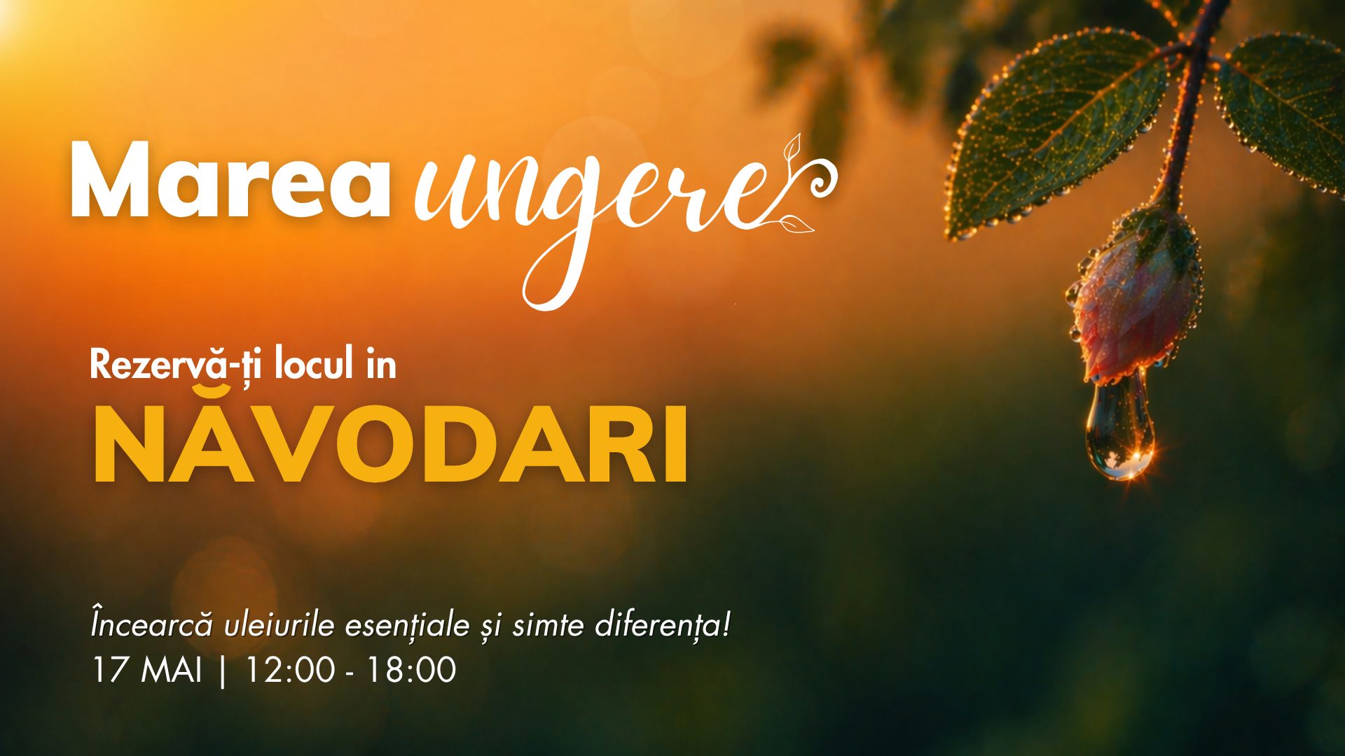 Năvodari