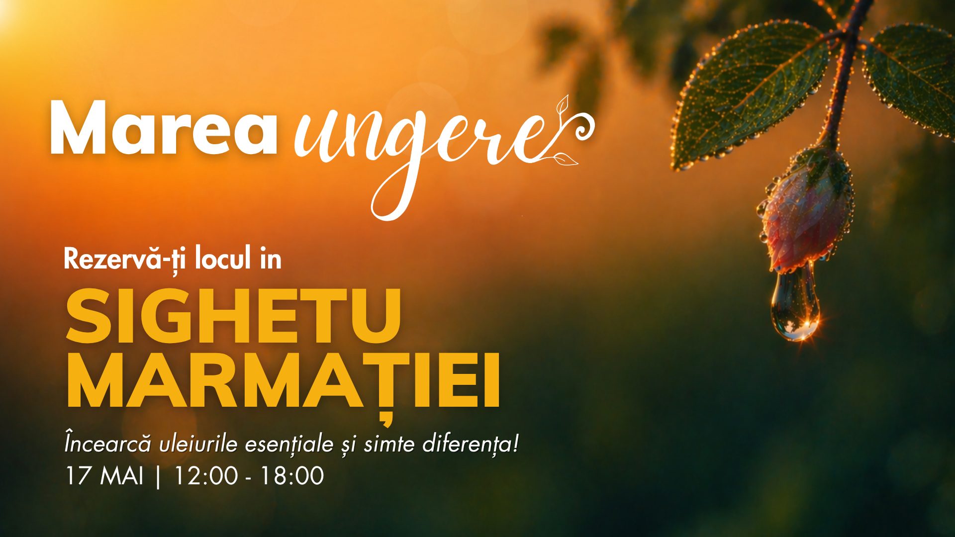 Sighetu Marmației