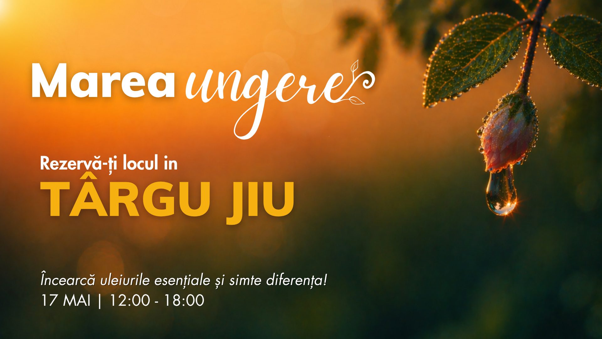 Târgu Jiu