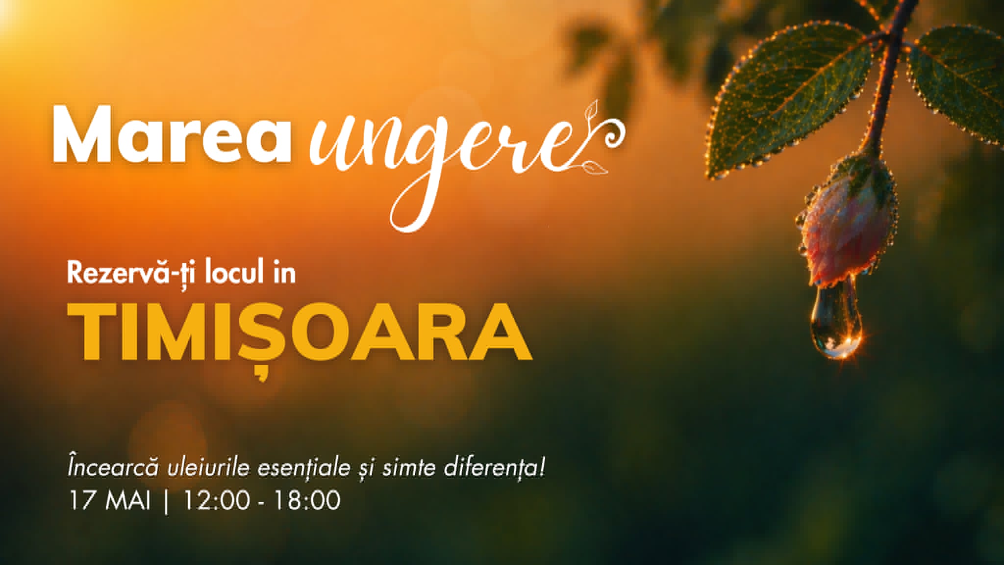 Timișoara