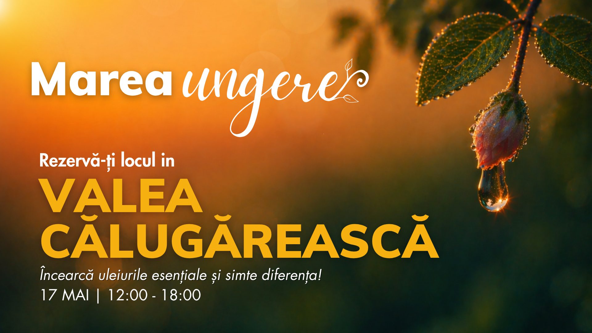Valea Călugărească